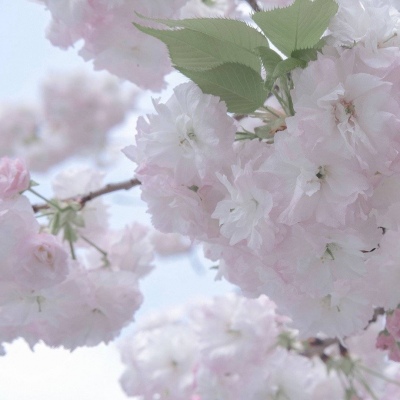 兽设线稿上色教程兽圈群